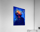 Liam Oasis Acrylic Print
