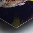 Kobe Bean Bryant Metal print