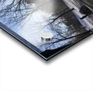 Central Park Winter Acrylic print