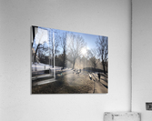 Central Park Winter Acrylic Print