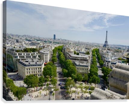 Paris Avenues Canvas Print