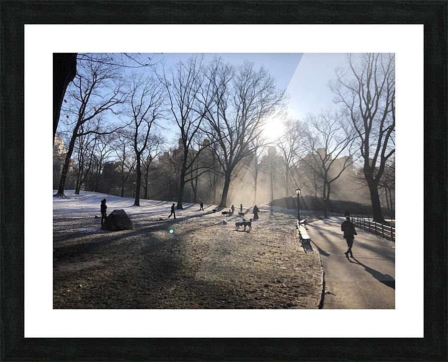 Central Park Winter Picture Frame Printing