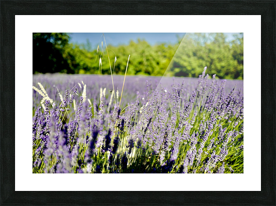 B2 Picture Frame Printing
