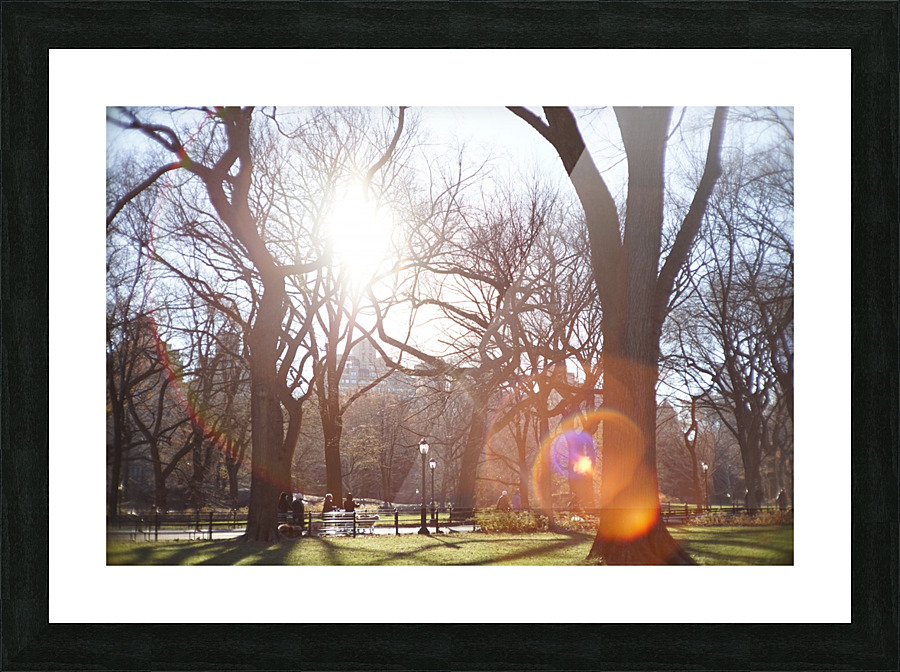 Central Park Picture Frame Printing