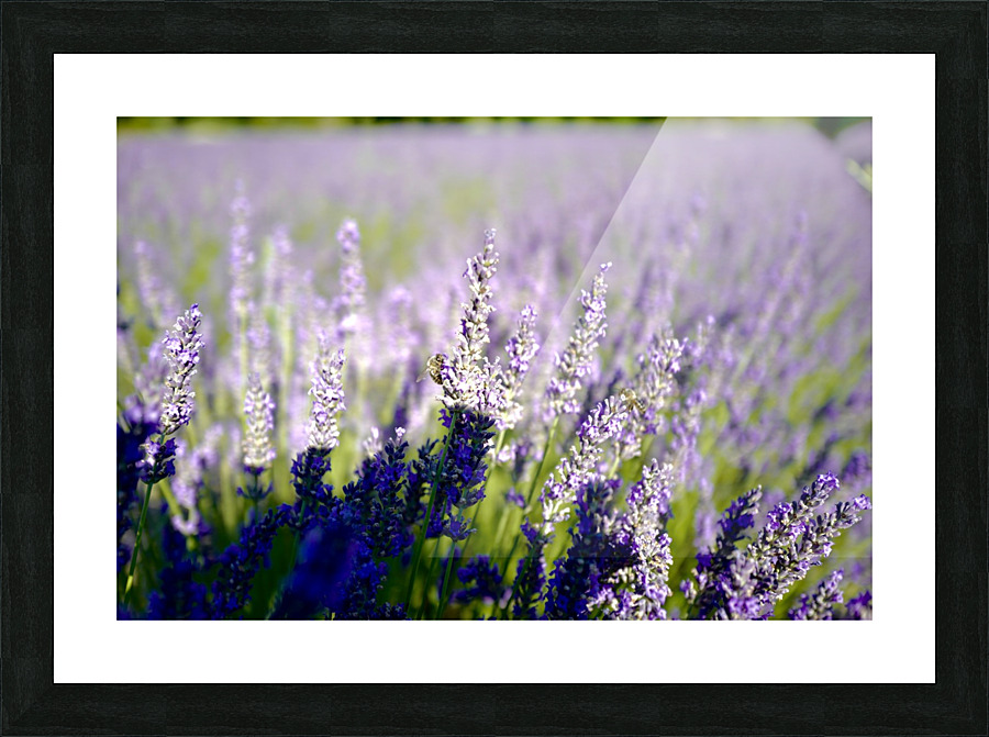 B Picture Frame Printing