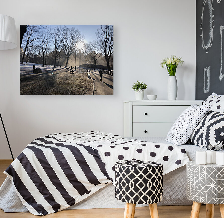 Central Park Winter Reproduction