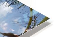 Bahamarama HD Metal print