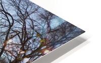 Bridge HD Metal print
