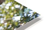 Beacon HD Metal print