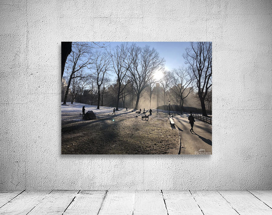 Central Park Winter Wall Preview