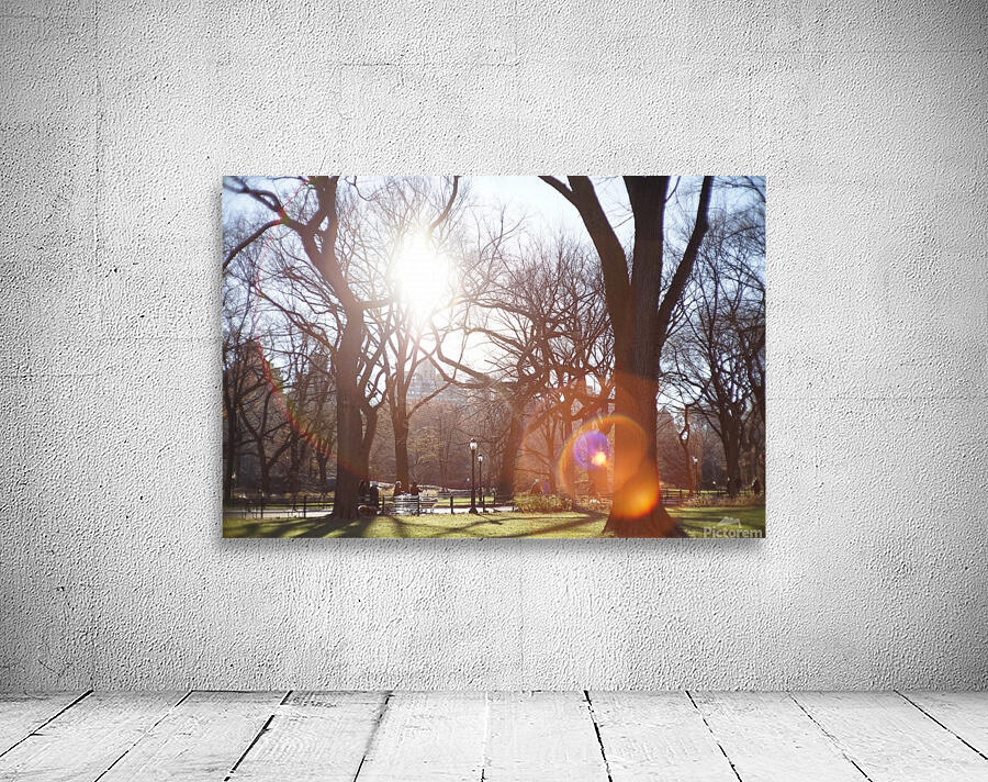 Central Park Wall Preview