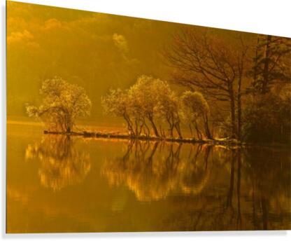 Gold Morning, Lake District, UK Canvas Print