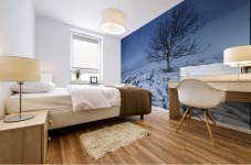 Cold Blue Trees, Yorkshire Dales, UK Mural print