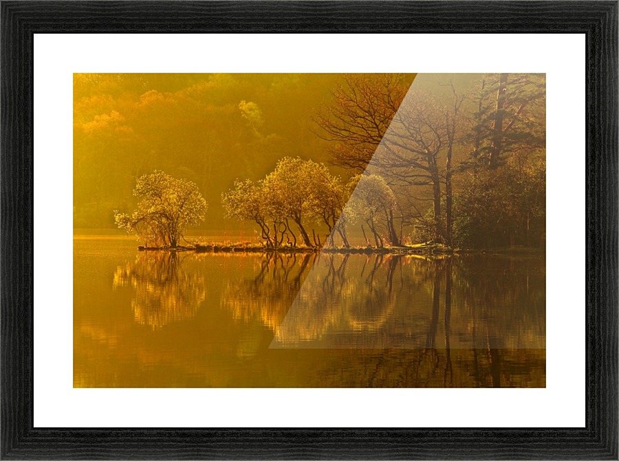Gold Morning, Lake District, UK Picture Frame print