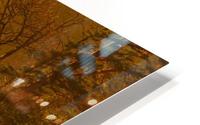 Gold Morning, Lake District, UK HD Metal print