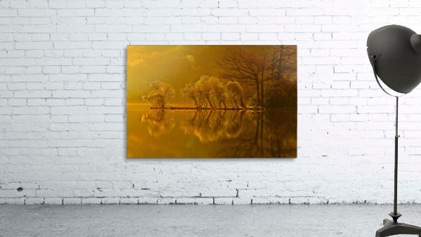 Gold Morning, Lake District, UK Wall Preview