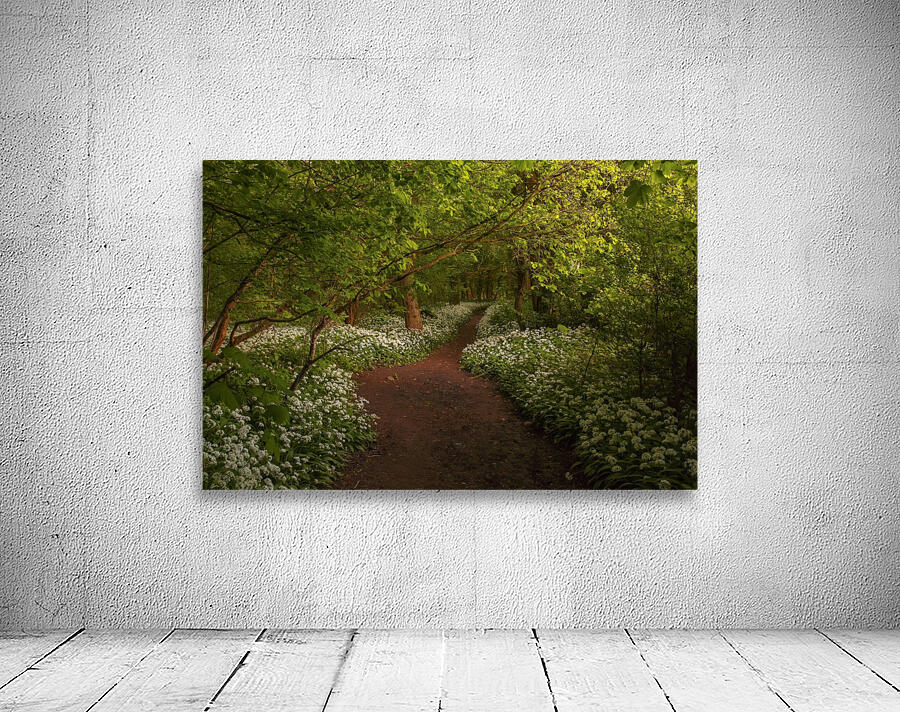The Path to Fairytales, Ramsons Wood, Lancashire, UK Wall Preview