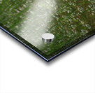 FloodRain4 Acrylic print
