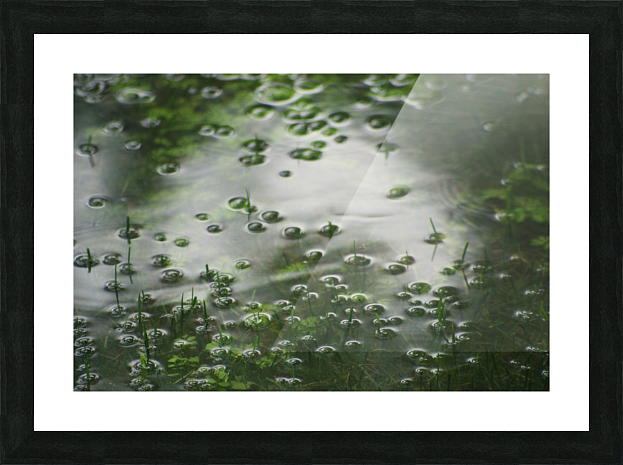 FloodRain5 Picture Frame print