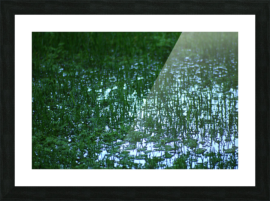 FloodRain2 Picture Frame print