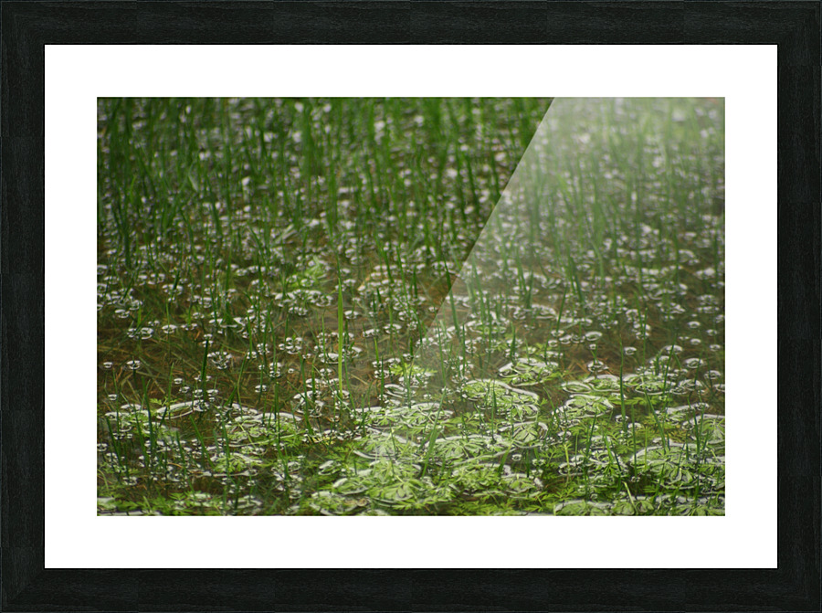 FloodRain4 Picture Frame print