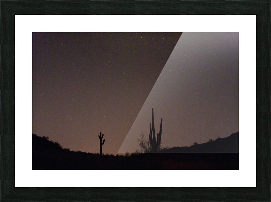 NITE DESERT CACTI Picture Frame print