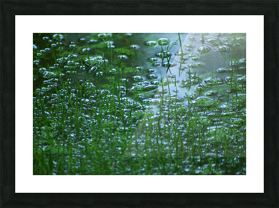 FloodRain1 Picture Frame print