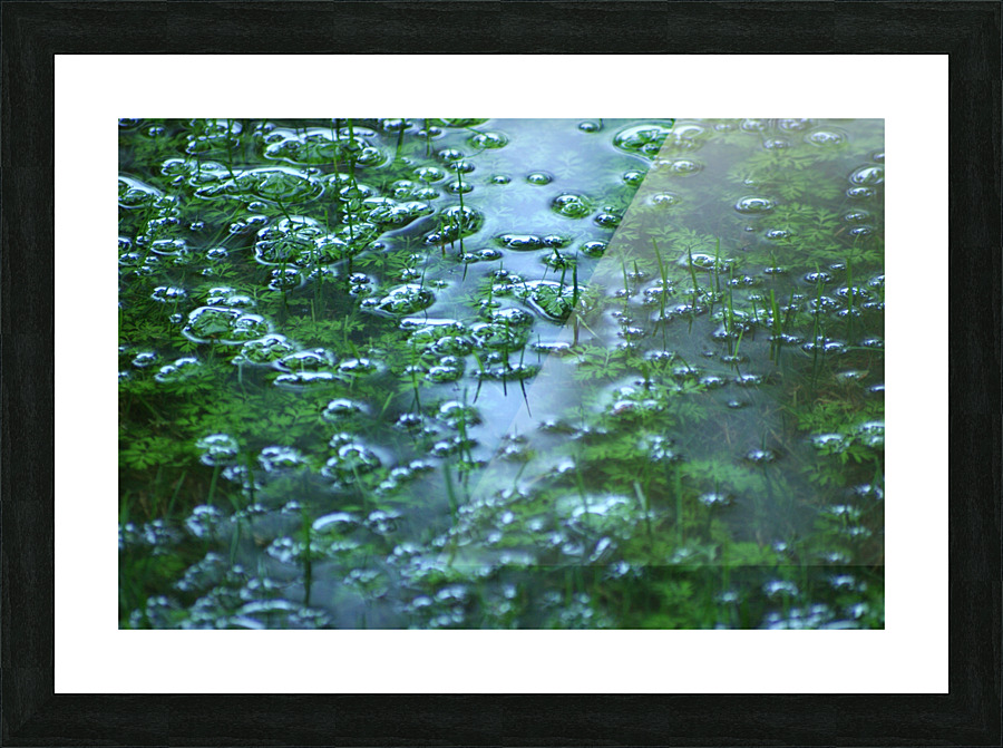 FloodRain3 Picture Frame print