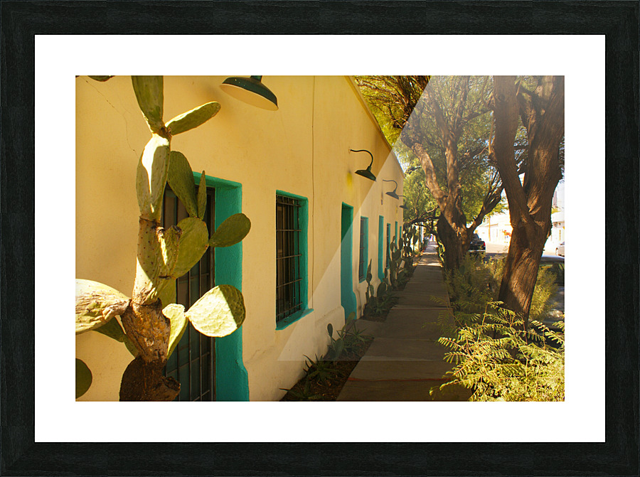 TUCSON13 Picture Frame print