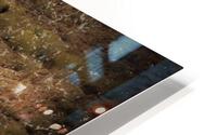 Ajo5 HD Metal print