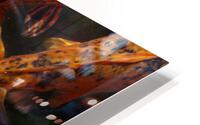 FISH2 HD Metal print