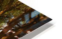 TUCSON13 HD Metal print