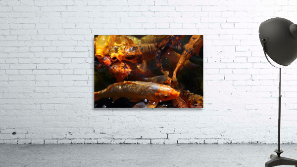 FISH2 Wall Preview