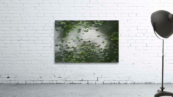 FloodRain5 Wall Preview
