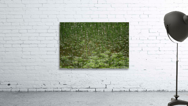 FloodRain4 Wall Preview