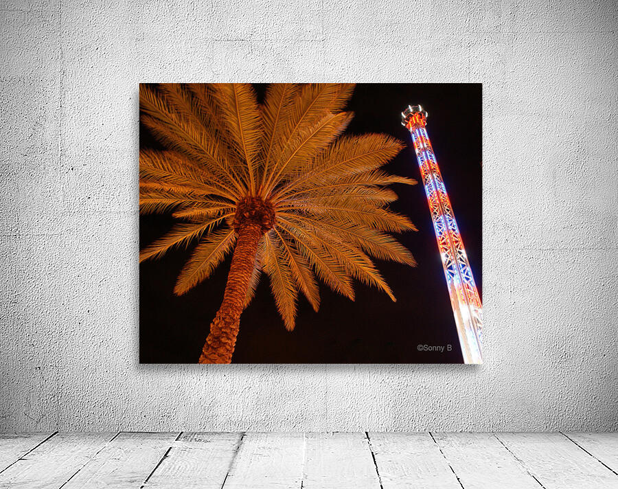 PALM N TOWER Wall Preview