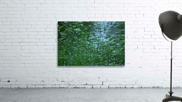 FloodRain1 Wall Preview