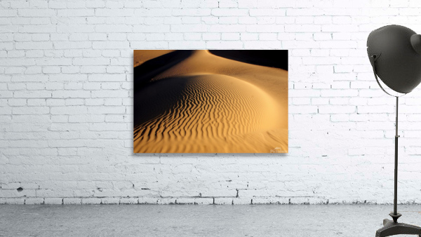 Sahara Wall Preview