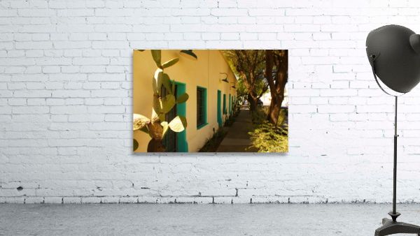 TUCSON13 Wall Preview