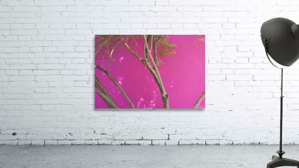 PNK TREE Wall Preview