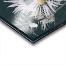 Daisy  Acrylic print