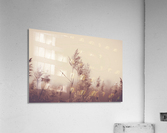 Faded Moments Acrylic Print