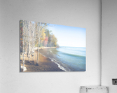 Wasted On You Acrylic Print