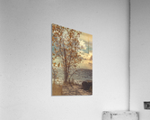 When You Start To Fall Acrylic Print