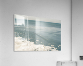 Blue Huron Acrylic Print