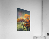 Dont Pass Me By Acrylic Print