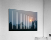 Beautiful Problem Acrylic Print