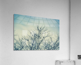 Unexpected Company  Acrylic Print