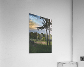 Sometimes Acrylic Print