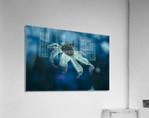 Hold Onto Me Acrylic Print